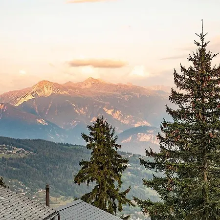 3 Pieces A * アンゼール